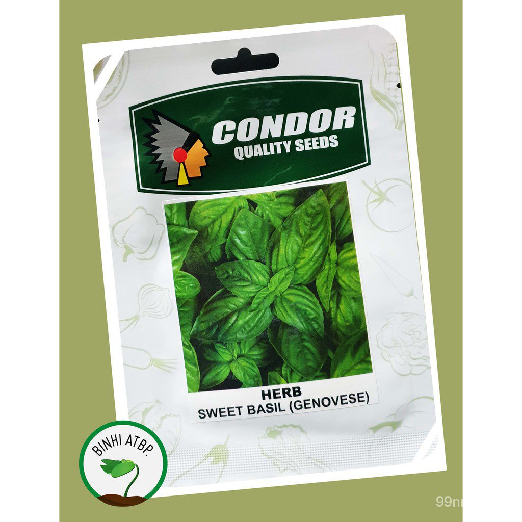 Condor Sweet Basil Genovese Herb Seeds (แพ็ค5กรัม) กลิ่น/ดอกไม้/สว/ ดอกทานตะวัน/ดอกไม้/สัตว์ใหญ่/ข้าวโพด/ปลาดาว/กวาง/กาง