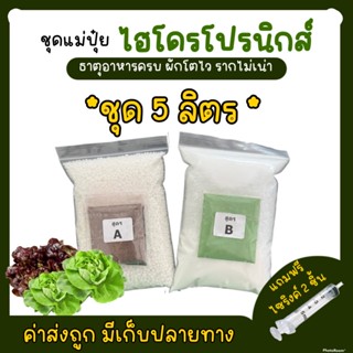 ชุดปุ๋ยเอบี **ขนาด5ลิตร** AB ปุ๋ยไฮโดรโปนิกส์ ปุ๋ยไฮโดรโปนิกส์น้ํานิ่ง ปุ๋ยผักHydroponics ปุ๋ยสารละลายเอบี