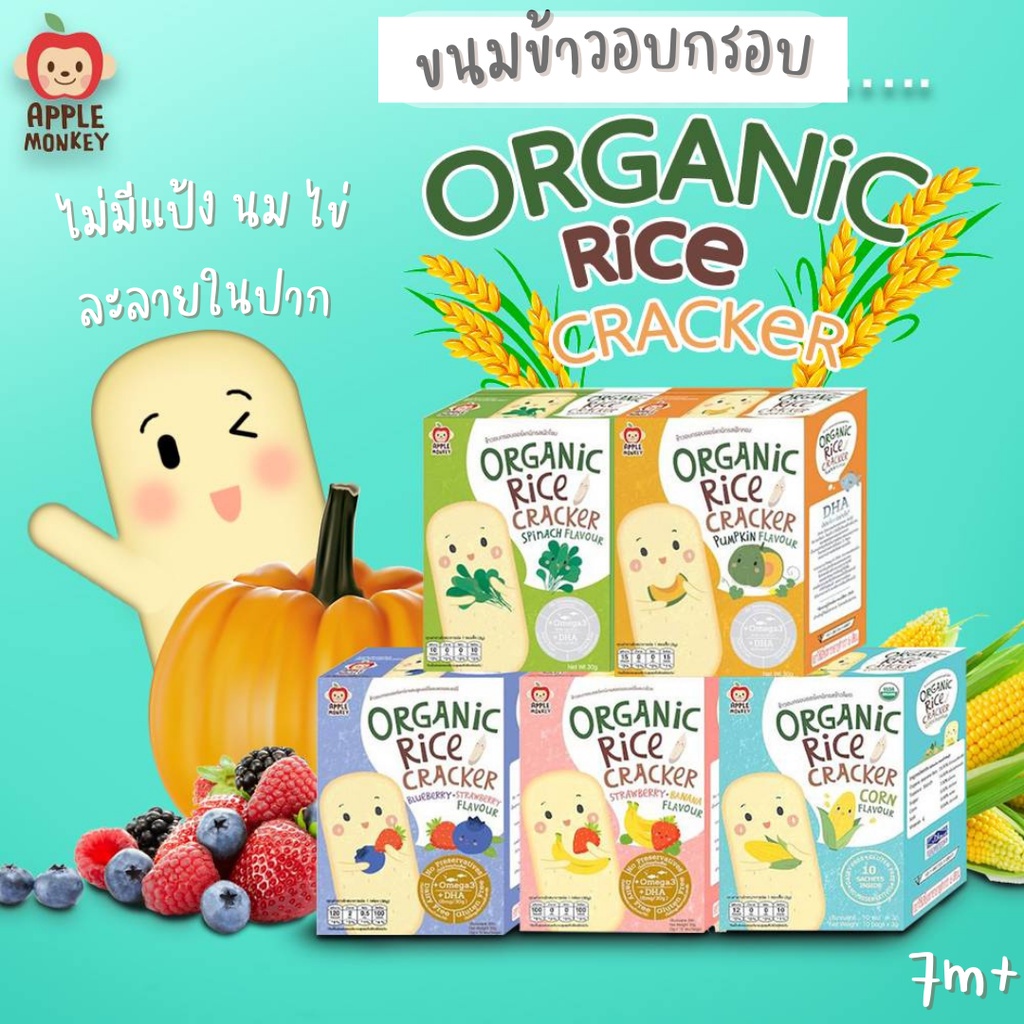 APPLE MONKEY แครกเกอร์ข้าวหอมมะลิ ออร์แกนิค Organic Cracker ขนมเด็กอายุ 8 เดือนขึ้นไป ละลายง่าย