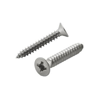 SELF-TAPPING สกรูเกลียวปล่อย TF DEXZON 3X20 มม. 25 ตัวSELF-TAPPING SCREWS TF DEXZON 3X20MM 25EA