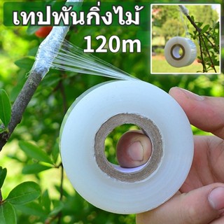 เทปพันกิ่งไม้ 120m เทปพันกิ่งทาบ อุปกรณ์ตอนกิ่ง เทปใสพันกิ่ง