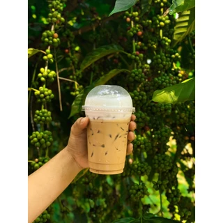 เมล็ดกาแฟคั่ว แม่กก Arabica100% ปางขอน Maekok Coffeer