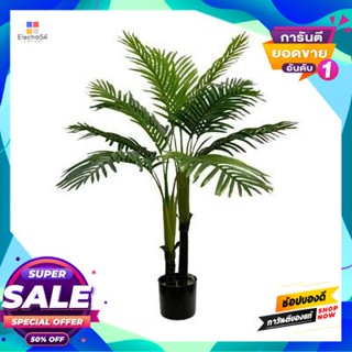 Betel ต้นปาล์มหมาก รุ่น LYSWK11501 สีเขียว Betel palm tree FONTE model LYSWK11501 green