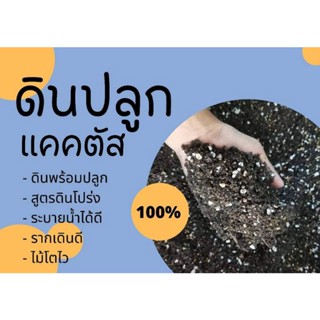 ดินพร้อมปลูก แคคตัส ไม้อวบน้ำ และอื่นๆ     เกรดพรีเมี่ยมพิเศษ 1 ถุงขนาด 500g ดินโปร่งรากเดินดีเปอร์เซ็นต์รอดสูง 98%