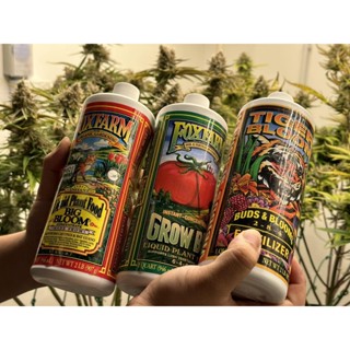 (ปุ๋ย Base) FoxFarm 946ml ขวดซีล