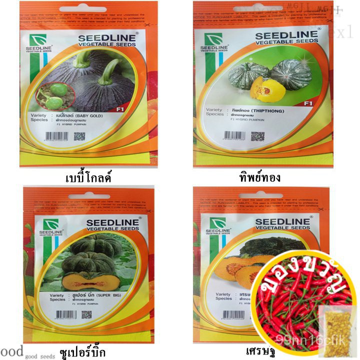 ฟักทองไข่ (pumpkin seeds) ฟักทองยาว ฟักทองอำไพ426 ฟักทองสีส้ม เมล็ดฟักทอง เมล็ดดฟักทองไข่ เมล็ดฟักทอ