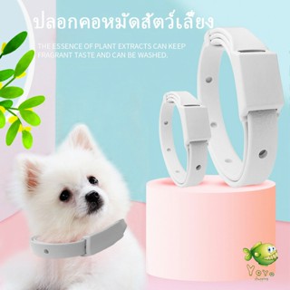 YOYO ปลอกคอกันเห็บ หมัด  **ในซองพลาสติก**  ปลอกคอแมว ปลอกคอหมา  Pet insect repellent collar