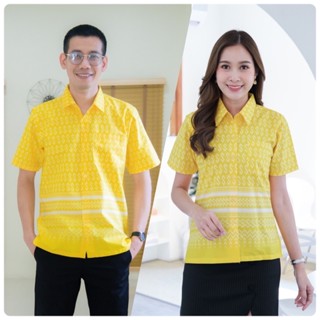 เสื้อเชิ้ตลายตะขอสีเหลือง ชาย หญิง