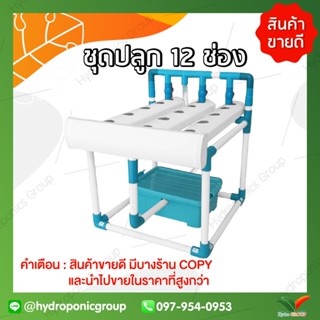 ชุดปลูกผักไฮโดรโปนิกส์ 12 ช่องปลูก by hydroponicgroup