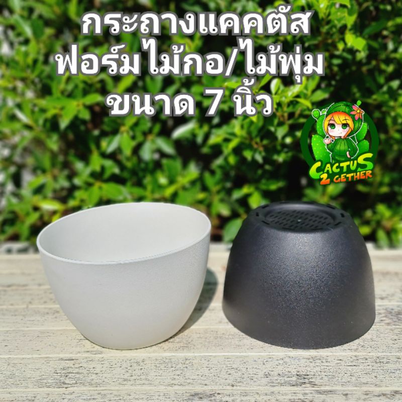 กระถางปลูกไม้ฟอร์มกอ (ทรงชามกาไก่) ขนาด7นิ้ว×4.5นิ้ว