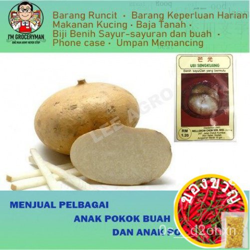 ของ gaicama/jicama/yam Bean/Yam เม็กซิกัน YCQV