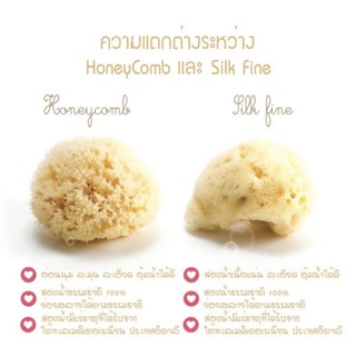 ฟองน้ำอาบน้ำเด็กและทารก 🇮🇹 ธรรมชาติ 💯% bellini ฟองน้ำธรรมชาติ รุ่น Silk Fine/ HoneyComb Babù® (Bellini) จากอิตาลี