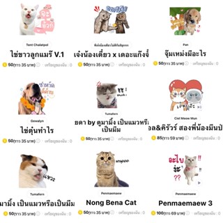 สติ๊กเกอร์ไลน์ดาวต๊อกต๊อกน้องหมา , น้องแมว สุดฮิต 💗