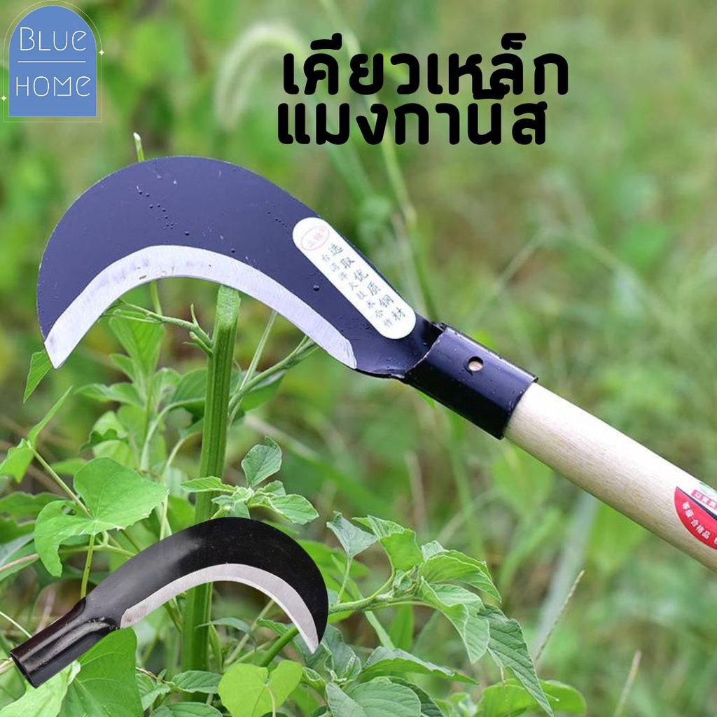 เคียวเหล็กแมงกานีส มีดหวดหญ้า ใบมีดคมทนแข็งแรงเหมาะสำหรับเข้าสวนตัดกิ่งไม้ตัดหญ้าหรือใช้งานอื่นๆ