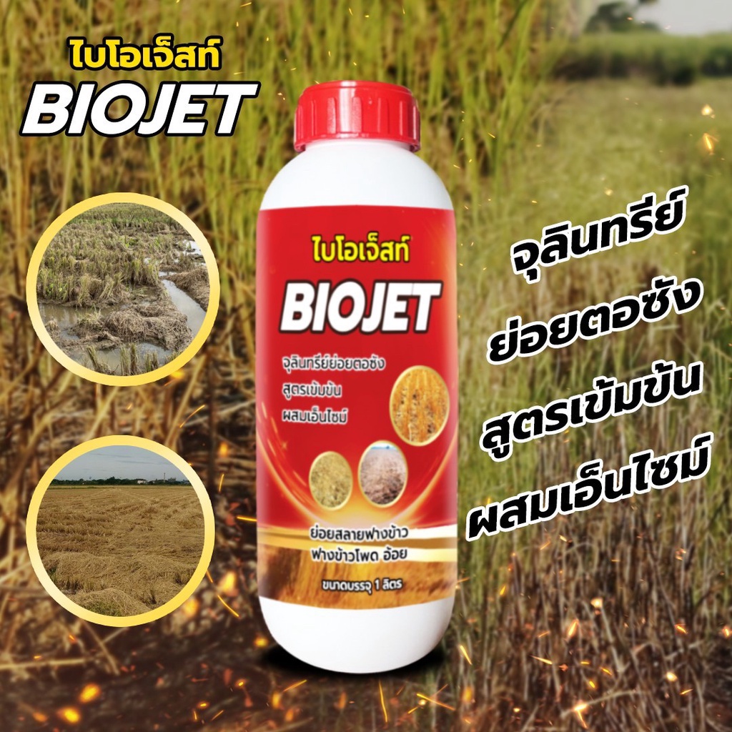 ไบโอเจ็ท จุลินทรีย์ ย่อยฟางข้าว จัดการตอซังข้าว ลดข้าวดีดข้าวเด้ง 1ลิตร