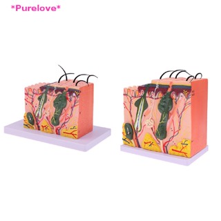 Purelove&gt; โมเดลขยายสรีระร่างกายมนุษย์ 35 50 เท่า