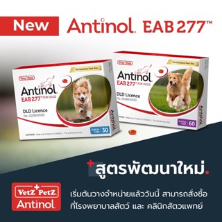 Antinol ช่วยบำรุงข้อ กระดูก ขน ผิวหนัง และไต(1 กล่อง 60 caps) สำหรับสัตว์เลี้ยง