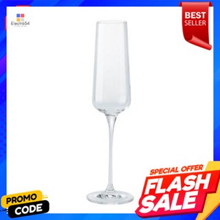 Glass แก้วแชมเปญ KASSA HOME รุ่น 0257 ความจุ 9 ออนซ์ สีใสChampagne Glass KASSA HOME No. 0257 Size 9 OZ. Clear