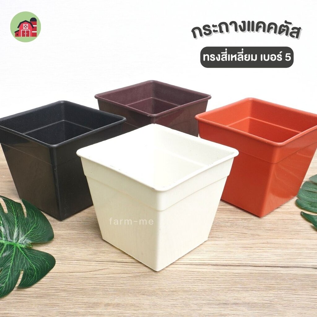 กระถางแคตตัส สี่เหลี่ยม เบอร์5 แพ็ค 10ใบ กระถาง 5นิ้ว