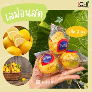 🍋เลมอนนอก แพ็ค3ลูก สดใหม่