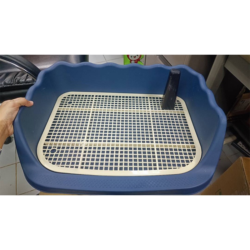 รูปภาพ 8