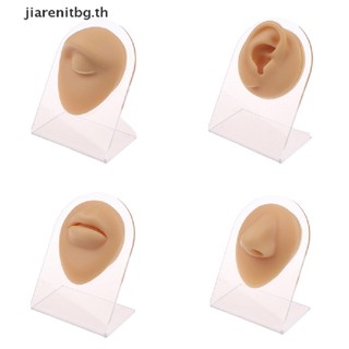 Renbg โมเดลลิ้นหู จมูก ปาก สะดือ แบบซิลิโคน