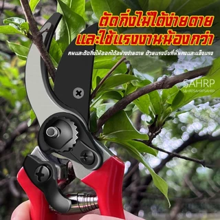 ✂️ สินค้าพร้อมส่ง✂️กรรไกรตัดกิ่งไม้ กรรไกรตัดหญ้า แต่งสวน กรรไกรตัดกิ่ง sk5#B-097