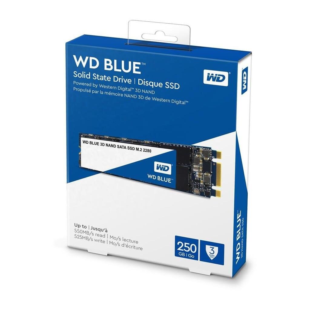 🛵มีส่งด่วน💨 WD SSD M.2 NVMe WD BLUE SN580 250GB/500GB/1TB