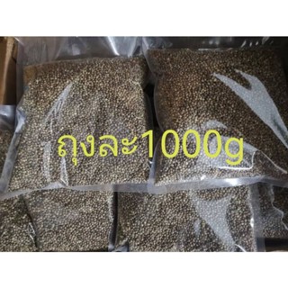 เมล็ดฮวยมั้ว อาหารนกแก้ว เกรดA เนื้อแน่นๆ สำหรับฝึกนอแก้ว ร่…