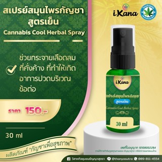 สเปรย์สมุนไพรกัญชา สูตรเย็น Cannabis Cool Herbal Spray