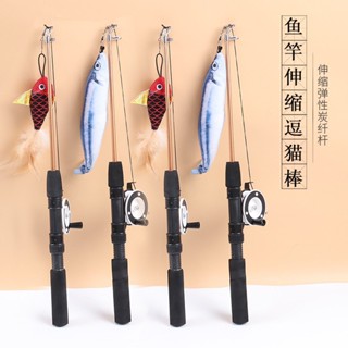 Cat Fishing Pole Toy Bite Resistance Multifunctional Feather Teaser Wand for Cats