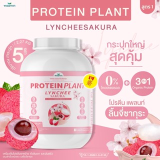 PROTEIN PLANT โปรตีนแพลนท์ สูตร 1 ( รสลิ้นจี่ ) โปรตีนจากข้าว ถั่วลันเตา เเละมันฝรั่ง ออแกรนิค (ปริมาณ 2.27 kg.) 5 ปอนด์