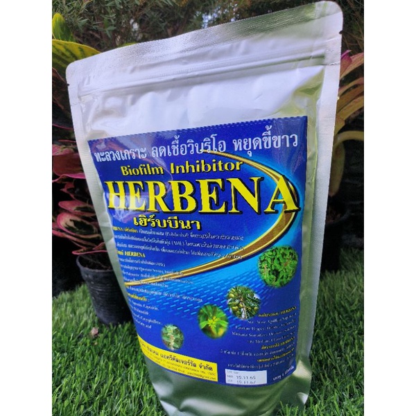 HerbBena (เฮิร์บบีน่า)ทะลวงเกราะไบโอฟิล์ม วิบริโอ้ หยุดขี้ขาว