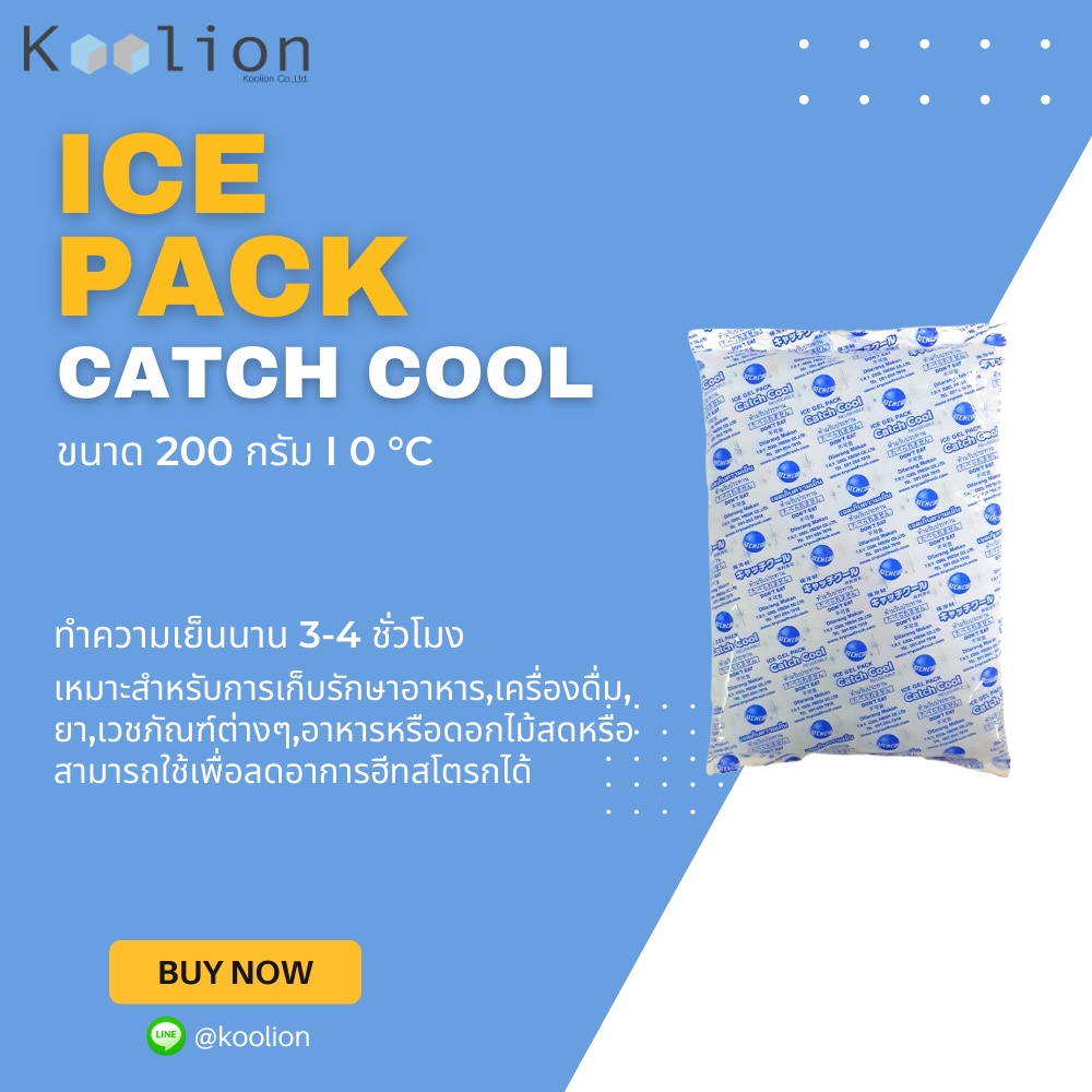 Ice Pack : Catch Cool เจลเก็บความเย็น อุณหภูมิ 0 °C ขนาด 100-1000 กรัม เจลเก็บความเย็นแบบซอง (มีหลาย