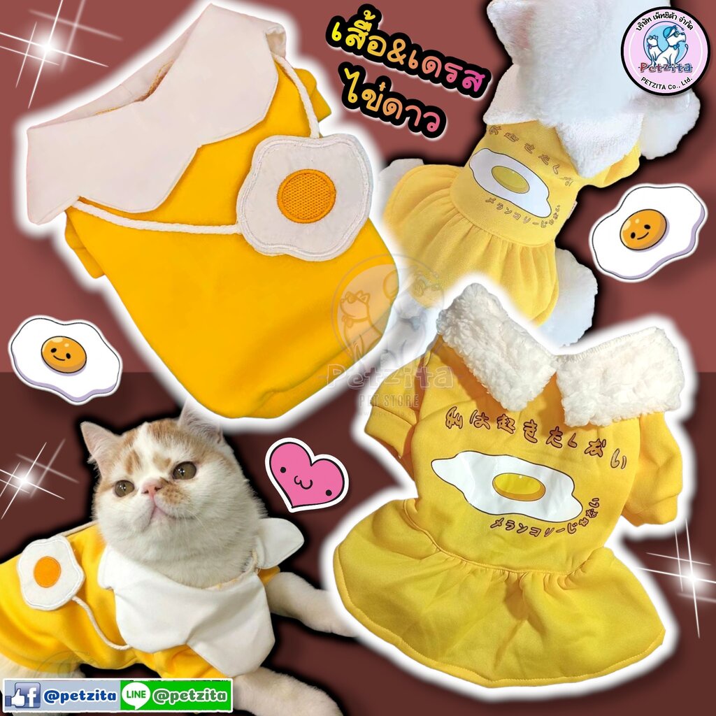 พร้อมส่ง เสื้อ&เดรส สีเหลือง แต่งลาย * ไข่ดาว * คอปกสีขาว for pet สัตว์เลี้ยง สุนัข แมว