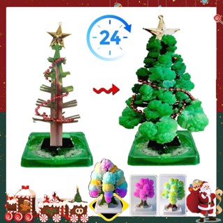 🎄COD✨พร้อมส่ง🎄e ต้นคริสต์มาส ต้นไม้วิทยาศาสตร์ Magic Growing Christmas Tree ของขวัญคริสต์มาส