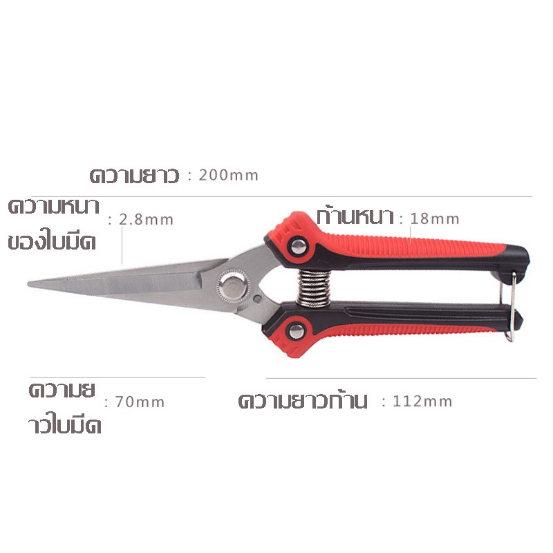 พร้อมส่ง🚕 กรรไกรตัดกิ่ง คีมตัดกิ่งไม้ กรรไกรตัดดอกไม้ ตกแต่งกิ่ง ปลายแหลม กรรไกรสแตนเลส เครื่องมือจัดทำสวน - รูปที่ 4