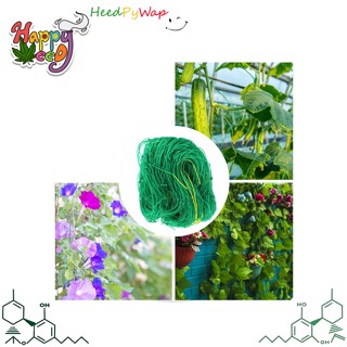 [ส่งสินค้าทุกวัน] Scrog net ตาข่ายปลูกผัก ตาข่ายไม้เลื้อย ตาข่ายไนลอน ตาข่ายทำค้างผักเลื้อย เน็ตตาข่าย ตาข่ายHDPE ตาข่าย