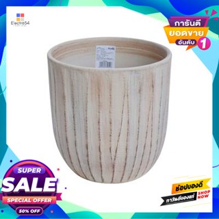 Plant กระถางต้นไม้ รุ่น 90016-2020S1-217-S ขนาด 7.5 นิ้ว สีพาสเทล Plant Pot FONTE No. 90016-2020S1-217-S Size 7.5 Inch P