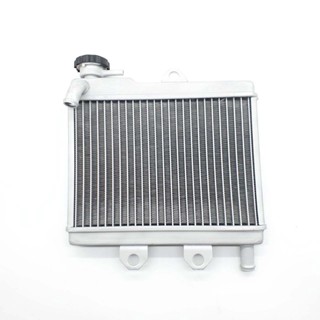 หม้อน้ำ KR / วิคเตอร์ / เซอร์ปิโก้ motorcycle radiator cover T1