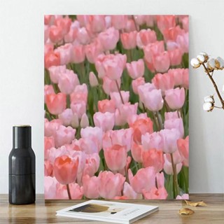 Nong Yang 30*40cm-ระบายสีตามตัวเลข พร้อมส่ง/beautiful flowers of painting by number/ระบายสีตามตัวเลขการ์ตูน/ระบายสีตามตัวเลข nct/painting by number/ภาพระบายสีตามตัวเลข