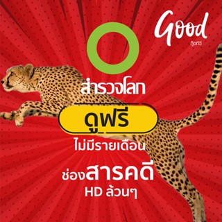 ส่งฟรี ! กล่องดาวเทียม Good TV ดูสำรวจโลก HD ฟรี เหมาะกับทีวีจอใหญ่ ใช้จานทึบ Ku-Band เท่านั้น