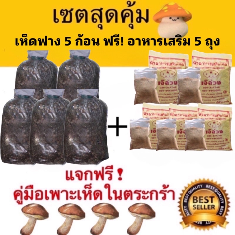เชื้อเห็ดฟาง เห็ดฟาง เชต 5 ก้อน + อาหารเสริมเห็ด 5 ถุง แถมฟรีคู่มือเพาะเห็ด