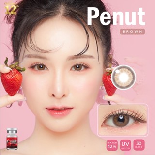 LovelyLens Penut Eff.19 Brown ใหญ่