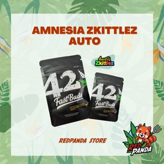 Fastbuds เมล็ดพันธุ์ Amnesia Zkittlez Auto เมล็ดกัญชานอก เมล็ดกัญชาค่าย Fastbuds เมล็ดกัญชา เพศเมีย