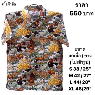 เสื้อยืดแตงโมคอปกโปเชี่ยล