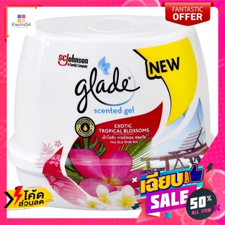 Glade(เกลด) เกลด เซ็นท์เต็ด เจลหอมปรับอากาศ กลิ่นเอ็กโซติก ทรอปิคอล ฟลอรัล 180 ก. Glade Scented Gel Air Freshener Exotic