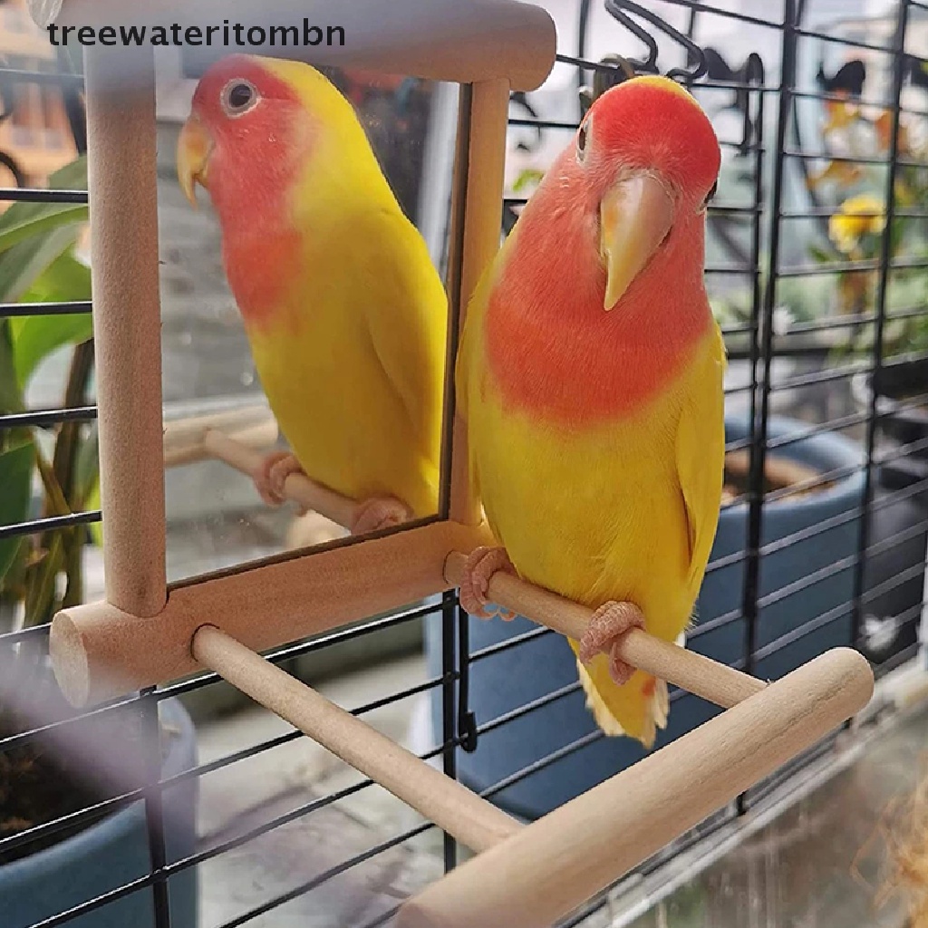 (Tt) กระจกนกพร้อม Perch Bird Perch Mirror Stand Bird Cockatiels Cage treewateritombn