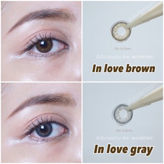 คอนแทคเลนส์ Protrendcolor รุ่น In Love (14.2mm.)