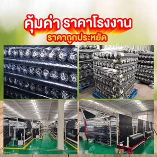 SGE พลาสติกคลุมวัชพืช ผ้าคลุมดิน ยาว100เมตร พลาสติกเหนียวพิเศษ รุ่น SCS ยกม้วนสุดคุ้ม!!!